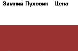 Зимний Пуховик › Цена ­ 1 000 - Все города Одежда, обувь и аксессуары » Мужская одежда и обувь   . Адыгея респ.,Адыгейск г.